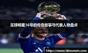 体现的是库
