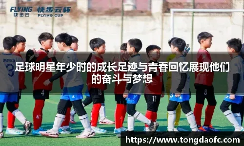 数据化