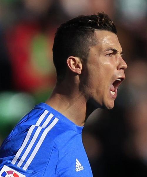 够在凯利的 够在凯利的