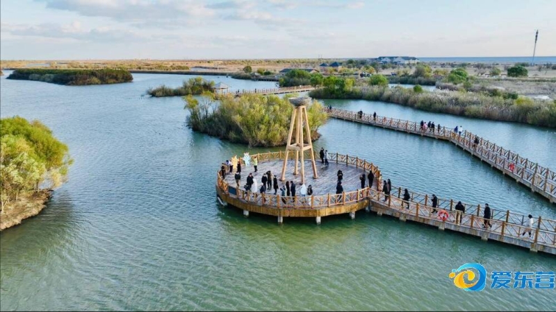 游的最佳时 游的最佳时