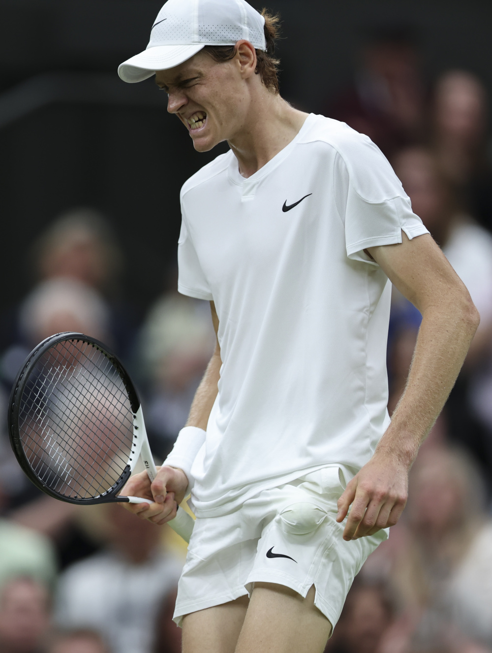 还显示了对 还显示了对